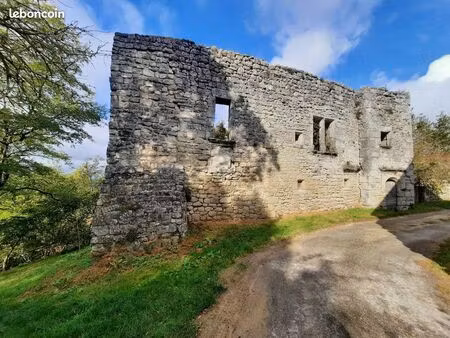 château 140 m² montastruc