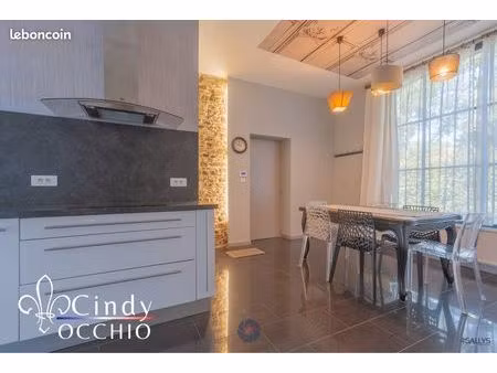 château 7 pièces 156 m²