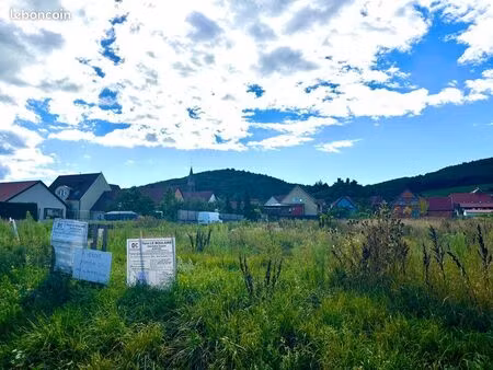 kintzheim magnifique terrain constructible viabilisé 3 57 ares