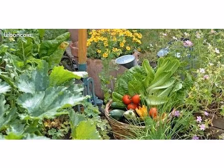 parcelle jardin privatif