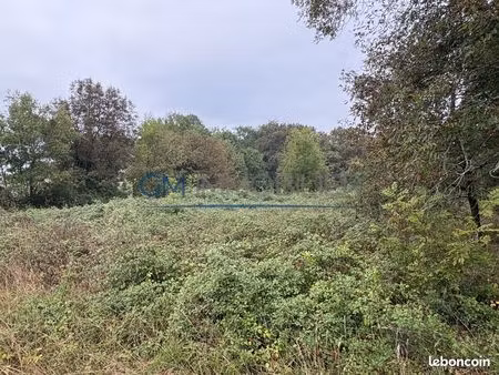 terrain 5200 m² hagetmau
