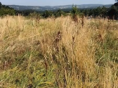 terrain 1295 m² le malzieu-ville