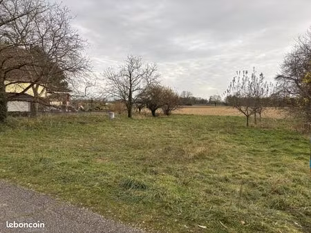 terrain 523 m² saasenheim