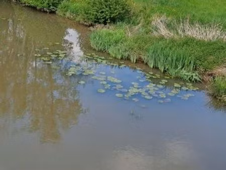 terrain bord de rivière