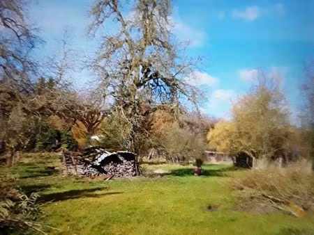 terrain constructible