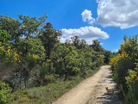 vend parcelle de bois