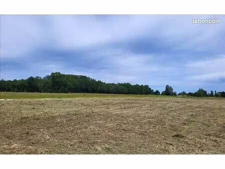 terrain 2 462 m² clam