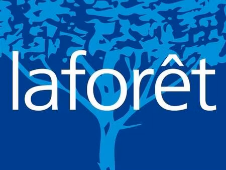 local commercial à louer