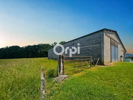 oloron immobilier & vallées