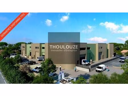 thoulouze immobilier