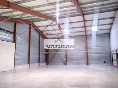 juristimmo expertimo