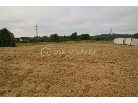 william soubaigné bsk immobilier