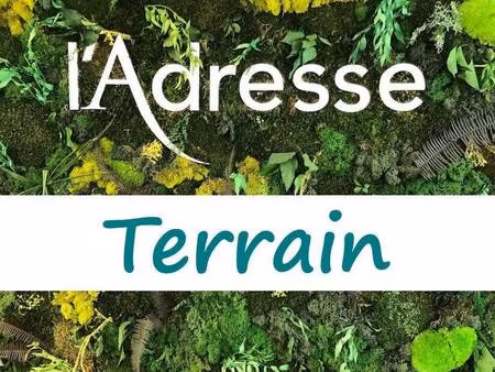 terrain à vendre