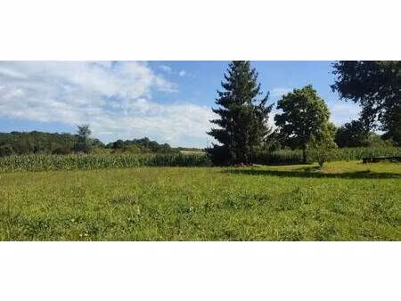 terrain constructible viabilisé à vendre
