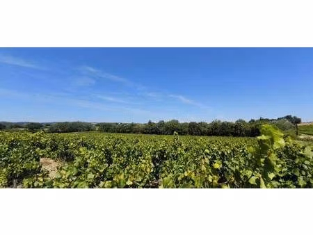 terrain à vendre