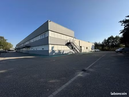 local d'activité 695 m²