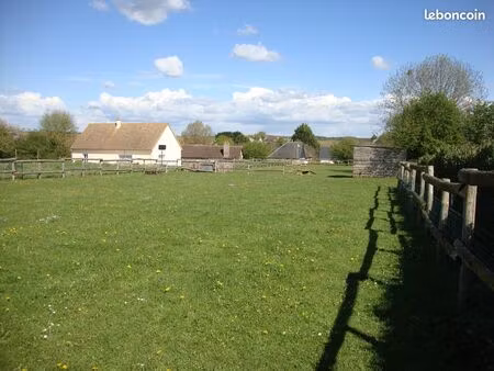 terrain constructible