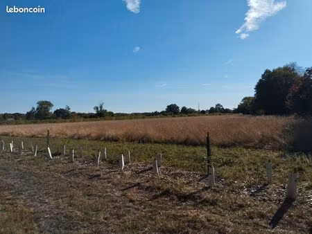 terrain agricole de 4 hectares