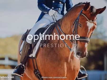 maison en viager 4 pièces 200 m²