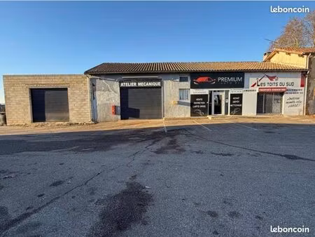 locaux commerciaux 270 m2