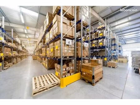 local d'activité 3 000 m²