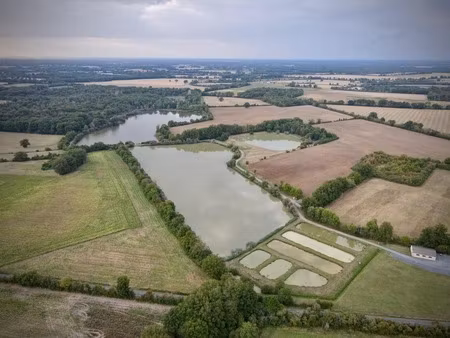 opportunité d'affaires exceptionnelle : domaine de 24 hectares comprenant 15 hectares d'ét