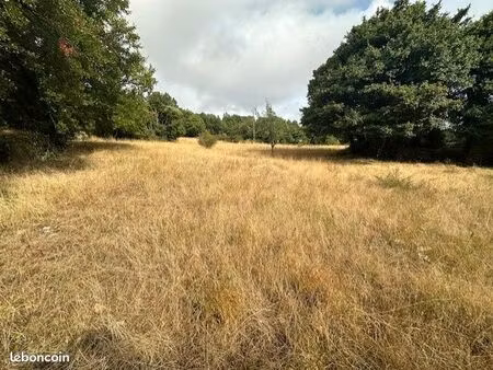 terrain 3134 m² sorbs