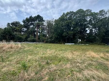 vente terrain à caudan (56850) : à vendre / 1137m² caudan