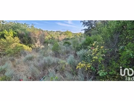 vente terrain 4 983 m²