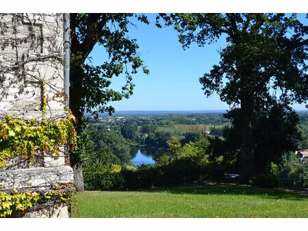 domaine d'exception avec vue panoramique - 21 hectares en aoc sainte-foy côtes de bordeaux