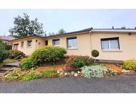 vente maison 7 pièces 150m2 puygouzon 81990 - 260000 € - surface privée