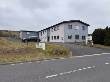 achat local professionnel 825m² woustviller 57915