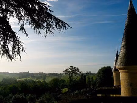 château magnifique avec des dépendances substantielles