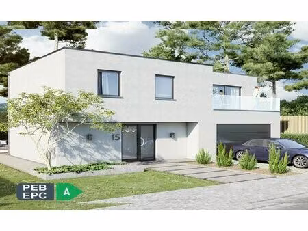 maison à vendre avec garage et 3 chambres   blaasveld (vbd21088)