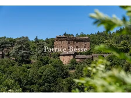 château à vendre à florac