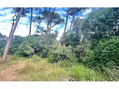 terrain labenne m² t- à vendre  1 060 000 €