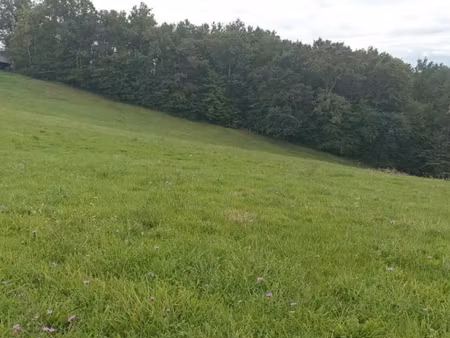 vente terrain 2600 m² à dampniat (19360)  50 540 €