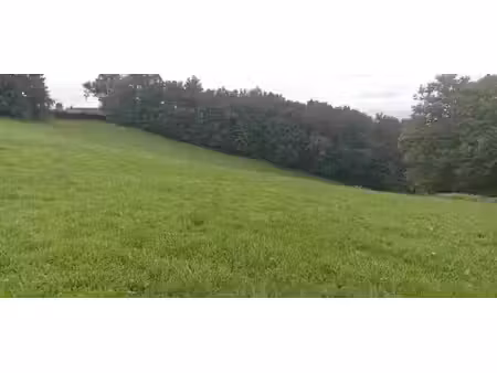 vente terrain 5260 m² à dampniat (19360)  77 700 €