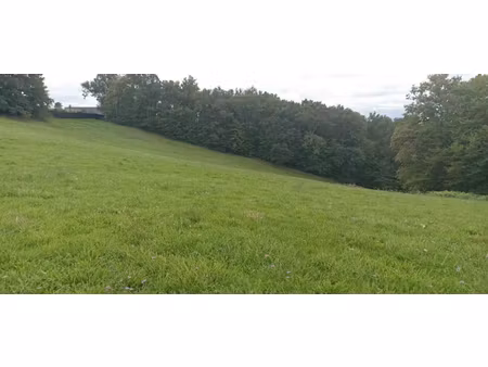vente terrain 5260 m² à dampniat (19360)  88 000 €