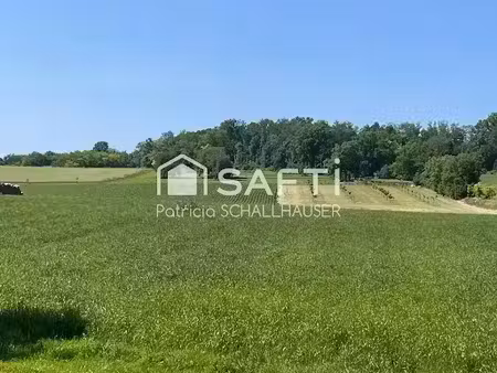vente terrain à batir 1057 m² à rantzwiller (68510)  211 000 €