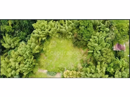 vente terrain 6130 m² à l ajoupa bouillon (97216)  240 000 €