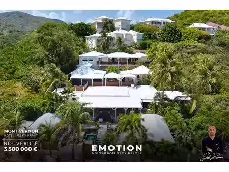 vente locaux professionnels 0 pièces 798 m² à saint-martin (97150)  3 500 000 €