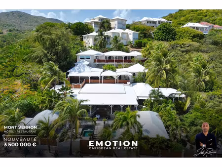 vente locaux professionnels 798 m² à saint-martin (97150)  3 500 000 €