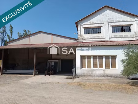 vente locaux professionnels 1099 m² à floure (11800)  250 000 €