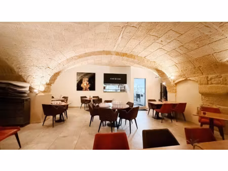 vente locaux professionnels 350 m² à grans (13450)  675 000 €