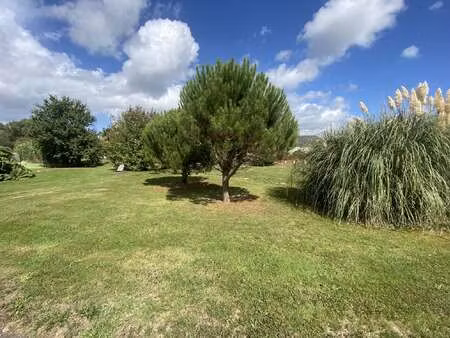 vente terrain à languidic (56440) : à vendre / 830m² languidic