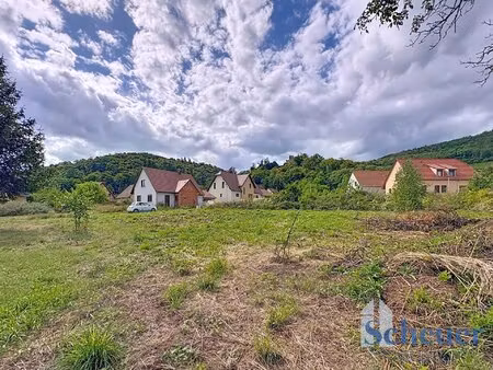 terrain constructible à kintzheim au pied du chateau