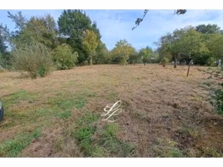 vente - terrain