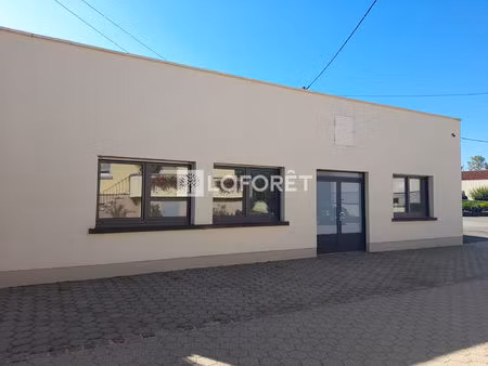 local commercial sermersheim à louer