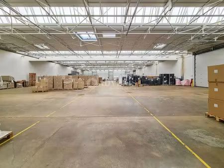 local d'activités a louer